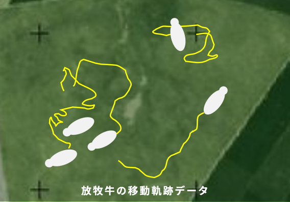 放牧牛の移動軌跡テータ